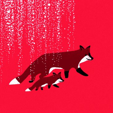 Red fox illustration postcard